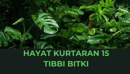 Doğal Hayatta kullanılan 15 Tıbbi Bitki