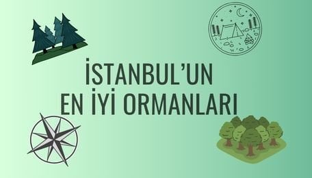 İstanbul'un En iyi Ormanları