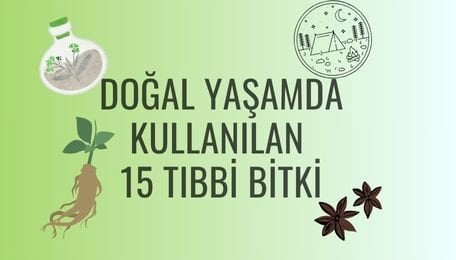 Doğal Hayatta kullanılan 15 Tıbbi Bitki